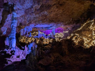 石垣島鍾乳洞に投稿された画像（2023/3/24）