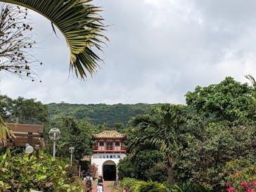 石垣島鍾乳洞に投稿された画像（2023/3/24）