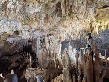 石垣島鍾乳洞に投稿された画像（2023/3/24）