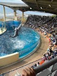 新江ノ島水族館に投稿された画像（2023/3/24）