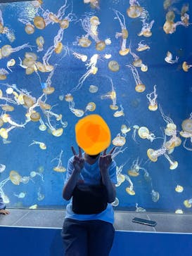 新江ノ島水族館に投稿された画像（2023/3/24）