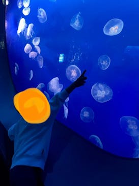 新江ノ島水族館に投稿された画像（2023/3/24）