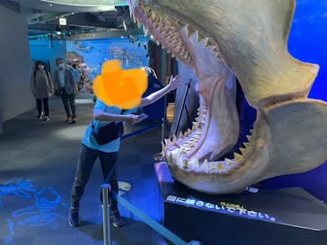 新江ノ島水族館に投稿された画像（2023/3/24）