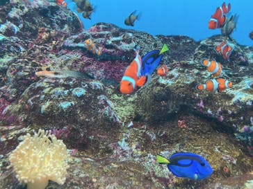 登別マリンパークニクスに投稿された画像（2023/3/24）