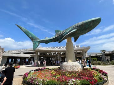 沖縄美ら海水族館に投稿された画像（2023/3/24）