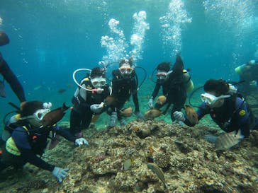 沖縄マリンサービス碧に投稿された画像（2023/3/24）