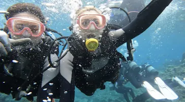 武藤潜水に投稿された画像（2023/3/24）