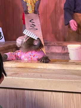 おさるの湯もみ処　おさ湯に投稿された画像（2023/3/24）