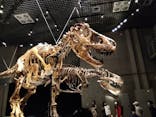 特別展「恐竜博2023」に投稿された画像（2023/3/24）