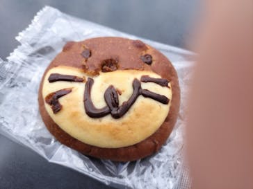 新江ノ島水族館に投稿された画像（2023/3/24）