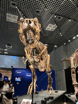 特別展「恐竜博2023」に投稿された画像（2023/3/24）