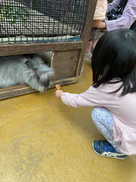 神戸どうぶつ王国に投稿された画像（2023/3/24）