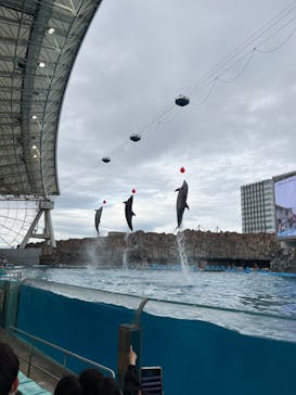 名古屋港水族館に投稿された画像（2023/3/24）