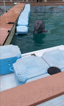 横浜・八景島シーパラダイスに投稿された画像（2023/3/24）