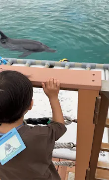 横浜・八景島シーパラダイスに投稿された画像（2023/3/24）