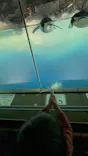 名古屋港水族館に投稿された画像（2023/3/24）