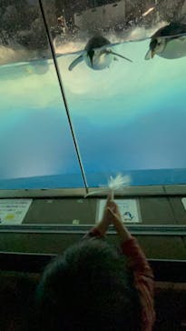 名古屋港水族館に投稿された画像（2023/3/24）