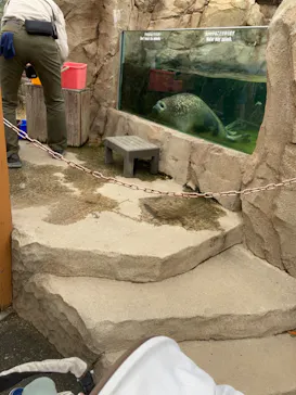 神戸どうぶつ王国に投稿された画像（2023/3/24）