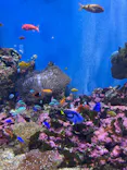 仙台うみの杜水族館に投稿された画像（2023/3/24）