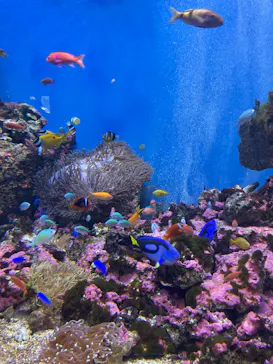 仙台うみの杜水族館に投稿された画像（2023/3/24）