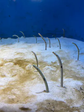 仙台うみの杜水族館に投稿された画像（2023/3/24）