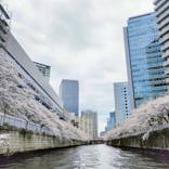 東京ウォータウェイズに投稿された画像（2023/3/24）