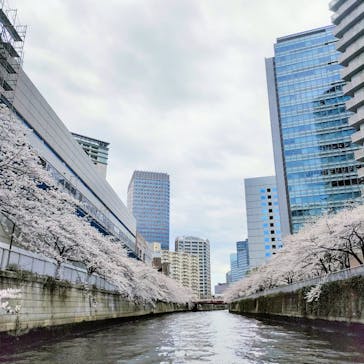 東京ウォータウェイズに投稿された画像（2023/3/24）