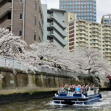東京ウォータウェイズに投稿された画像（2023/3/24）