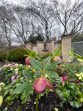 星の王子さまミュージアム 箱根サン=テグジュペリに投稿された画像（2023/3/24）
