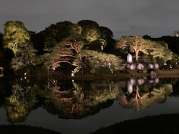 六義園に投稿された画像（2023/3/24）