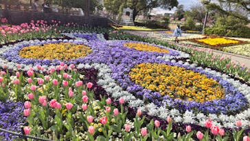 安城産業文化公園デンパークに投稿された画像（2023/3/24）