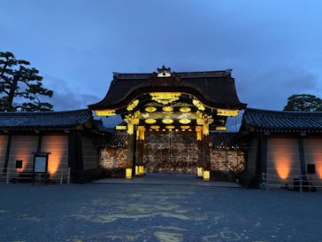 『NAKED FLOWERS 2023 桜 世界遺産・二条城』に投稿された画像（2023/3/24）