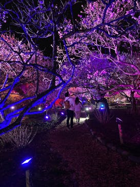 せんだい農業園芸センター　みどりの杜に投稿された画像（2023/3/24）