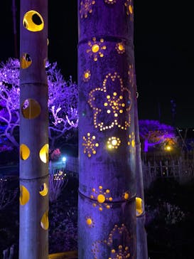 せんだい農業園芸センター　みどりの杜に投稿された画像（2023/3/24）