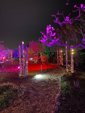 せんだい農業園芸センター　みどりの杜に投稿された画像（2023/3/24）