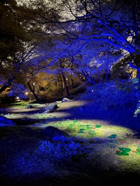 六義園に投稿された画像（2023/3/24）