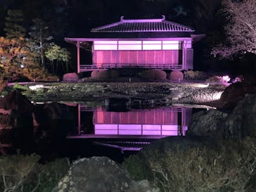 『NAKED FLOWERS 2023 桜 世界遺産・二条城』に投稿された画像（2023/3/24）