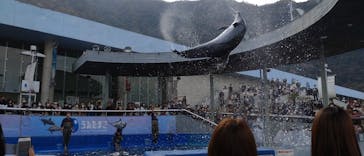 大分マリーンパレス水族館 「うみたまご」に投稿された画像（2023/3/24）