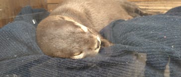 大分マリーンパレス水族館 「うみたまご」に投稿された画像（2023/3/24）