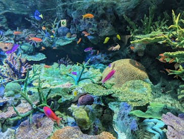 サンシャイン水族館に投稿された画像（2023/3/24）