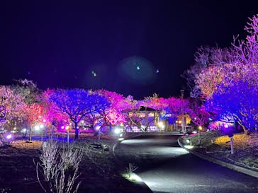 せんだい農業園芸センター　みどりの杜に投稿された画像（2023/3/24）