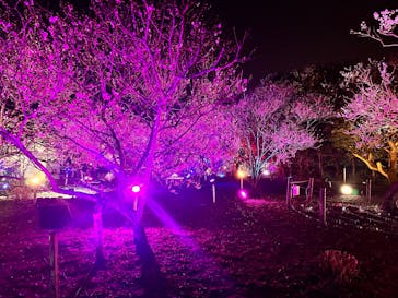 せんだい農業園芸センター　みどりの杜に投稿された画像（2023/3/24）