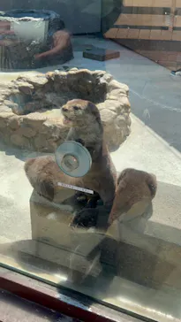 横浜・八景島シーパラダイスに投稿された画像（2023/3/24）