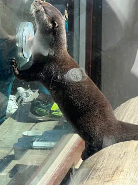 横浜・八景島シーパラダイスに投稿された画像（2023/3/24）