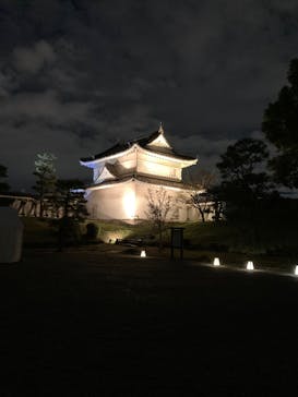 『NAKED FLOWERS 2023 桜 世界遺産・二条城』に投稿された画像（2023/3/24）