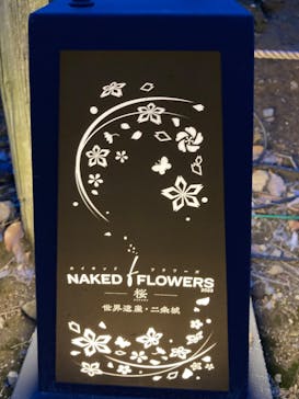 『NAKED FLOWERS 2023 桜 世界遺産・二条城』に投稿された画像（2023/3/24）