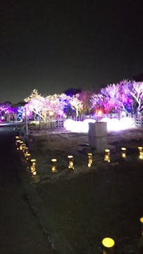 せんだい農業園芸センター　みどりの杜に投稿された画像（2023/3/24）