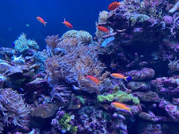 サンシャイン水族館に投稿された画像（2023/3/24）