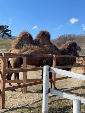 那須どうぶつ王国に投稿された画像（2023/3/24）
