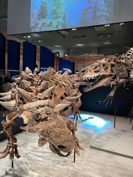 特別展「恐竜博2023」に投稿された画像（2023/3/25）
